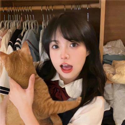 乱世书香